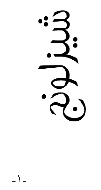 شيزلونج (سلسلة الكتاب الجماعي؛4)